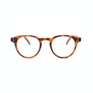 round wayfarer reading glasses 1