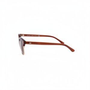 Unisex Classic Clubmaster Sunglasses 6