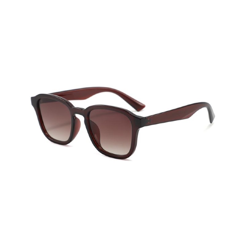 Unisex Square Wayfarer Sunglasses brown