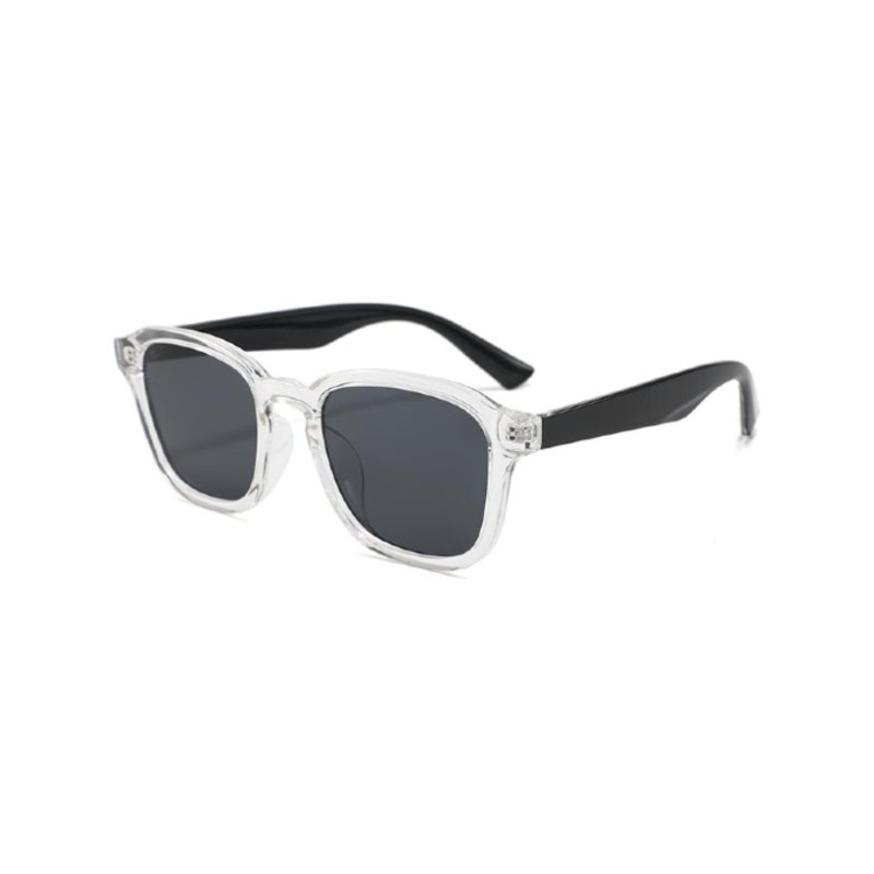 Unisex Square Wayfarer Sunglasses transparent